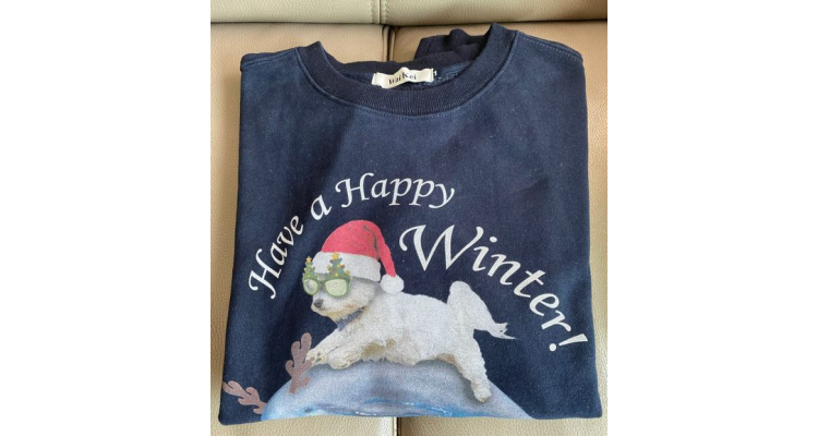 韓國Wai Kei-Christmas puppy dolphin jumping sweatshirts