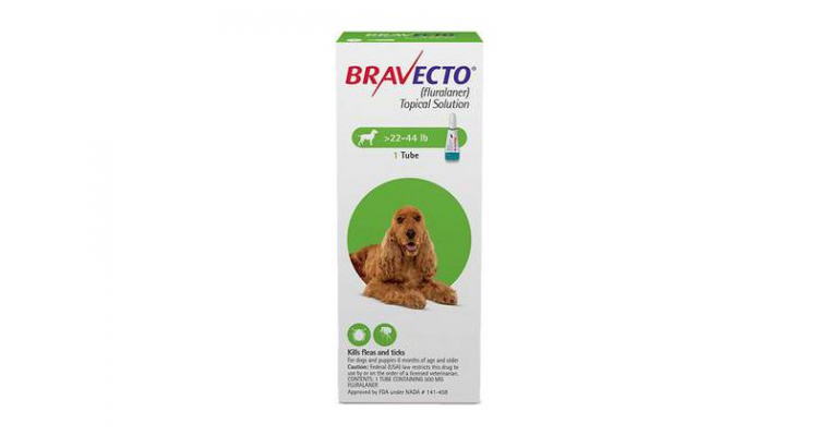 Bravecto tick treatment