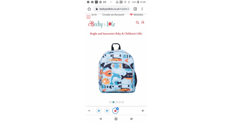 fish school bag