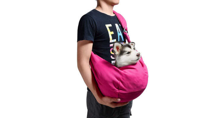 dog bag