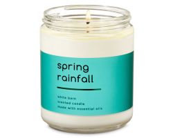 Bath & Body Works單芯 Spring Rainfall - 蜜瓜，麝香，奶油椰子精油