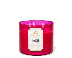 CACTUS BLOSSOM 3-Wick Candle 仙人掌花瓣，椰奶，香草，檸檬精油