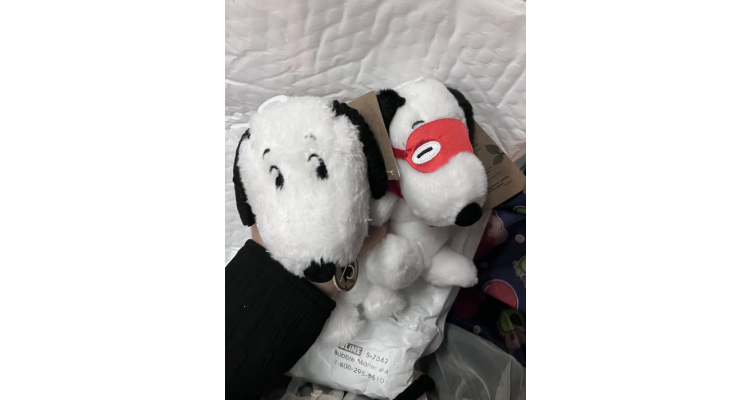 美國AMAZON - Aurora® Timeless Peanuts® Palm Pals™ Snoopy