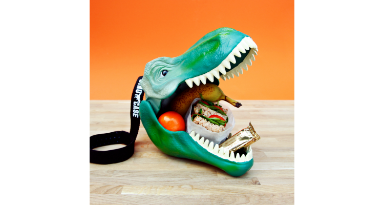 Dinosaur Lunch Box