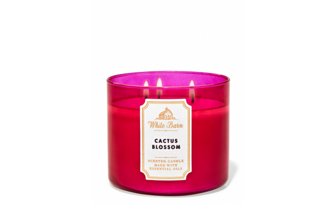 CACTUS BLOSSOM 3-Wick Candle 仙人掌花瓣，椰奶，香草，檸檬精油