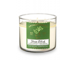 Aromatherapy EUCALYPTUS SPEARMINT 3-Wick Candle 桉樹，留蘭香精油