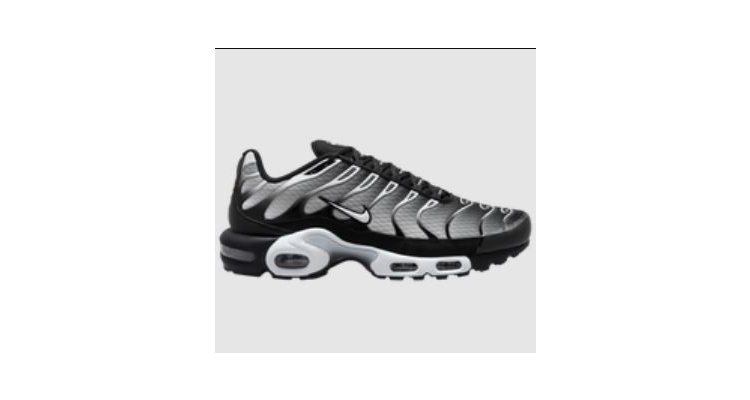 Nike Air Max Plus