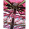 日本Yahoo拍賣-日本製折疊傘