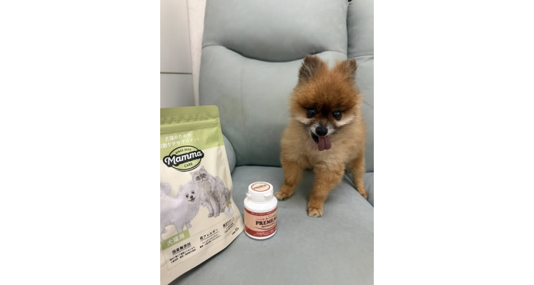 日本樂天-Premeal貓犬用保護牙齒乳酸菌保健片300粒