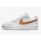 Nike Court Borough Low 2 SE