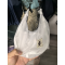 日本Amazon-SHIPS any COBMASTER 739530010 BANANA Shoulder Bag