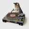 Cat Scratch Turntable 