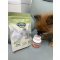 日本樂天-Premeal貓犬用保護牙齒乳酸菌保健片300粒