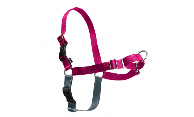 美國PetSafe貝適安輕鬆走防暴衝胸背帶 S / M，覆盆子/灰色