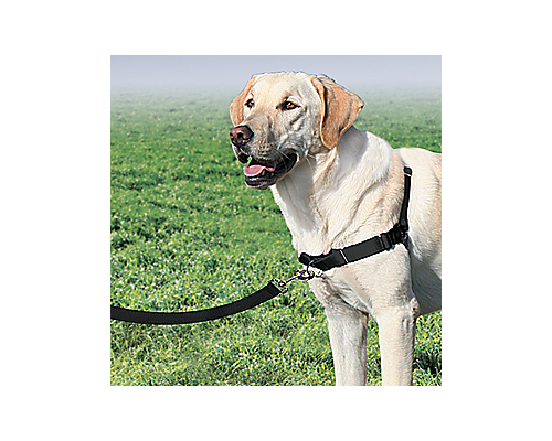 美國PetSafe貝適安輕鬆走防暴衝胸背帶 S / M，覆盆子/灰色