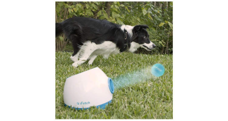 iFetch Too Ball Launche